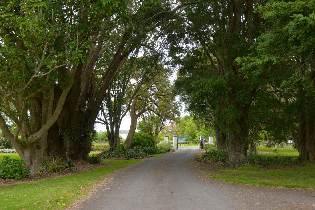 Lavalla Estate Pension Tuakau Buitenkant foto